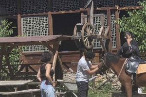 Daday'da Doğayla İç İçe Keyifli Bir Hafta Sonu