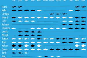 Hangi Balığın Mevsimi? Hangi Balığı Ne Zaman Yemeli?