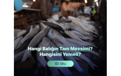 Hangi Balığın Mevsimi? Hangi Balığı Ne Zaman Yemeli?