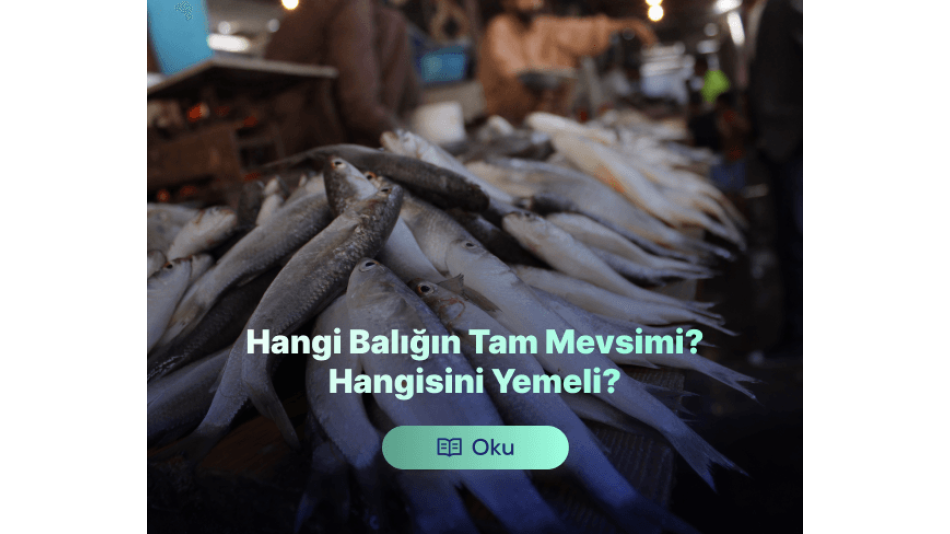 Hangi Balığın Mevsimi? Hangi Balığı Ne Zaman Yemeli?